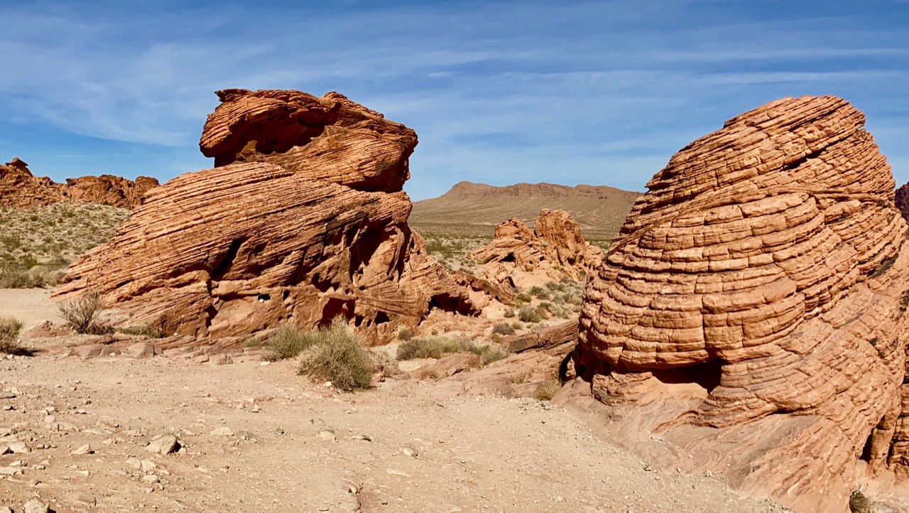 Tessera parchi USA: cosa cambia dal 2026 e perché conviene acquistarla entro dicembre